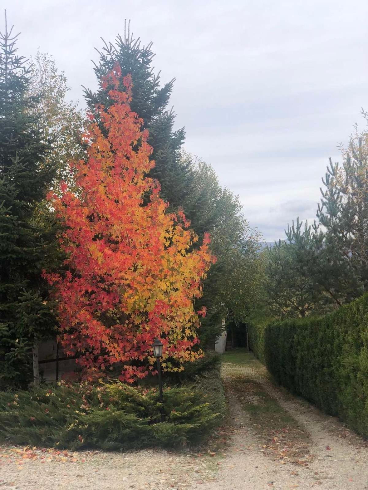 Kameno Villa Banja Buitenkant foto